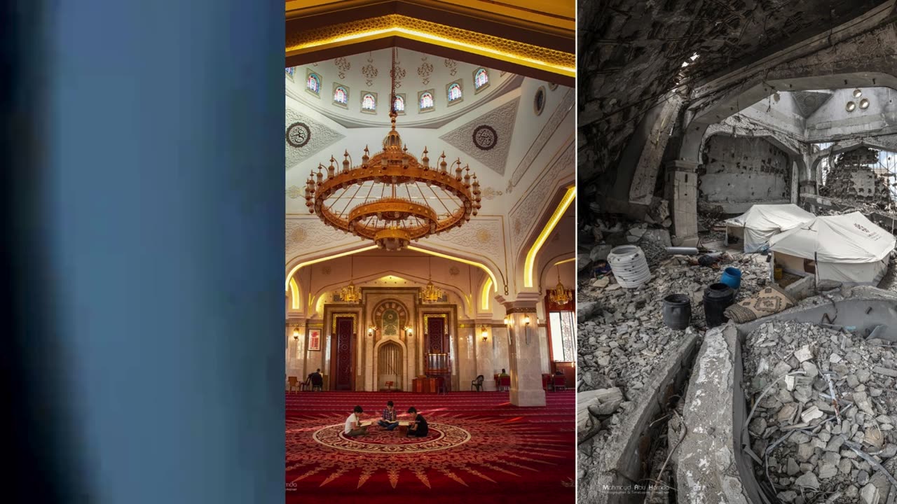 Save Gaza/John May Lives IV