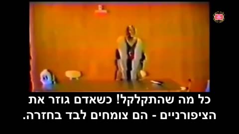 מה הסיבה לכל מחלה הכירו את דר סבי האיש שריפא איידס, סרטן, אלצהיימר, סוכרת ועוד