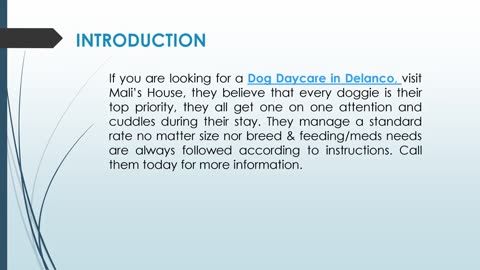 If you are looking for a Dog Daycare in Delanco