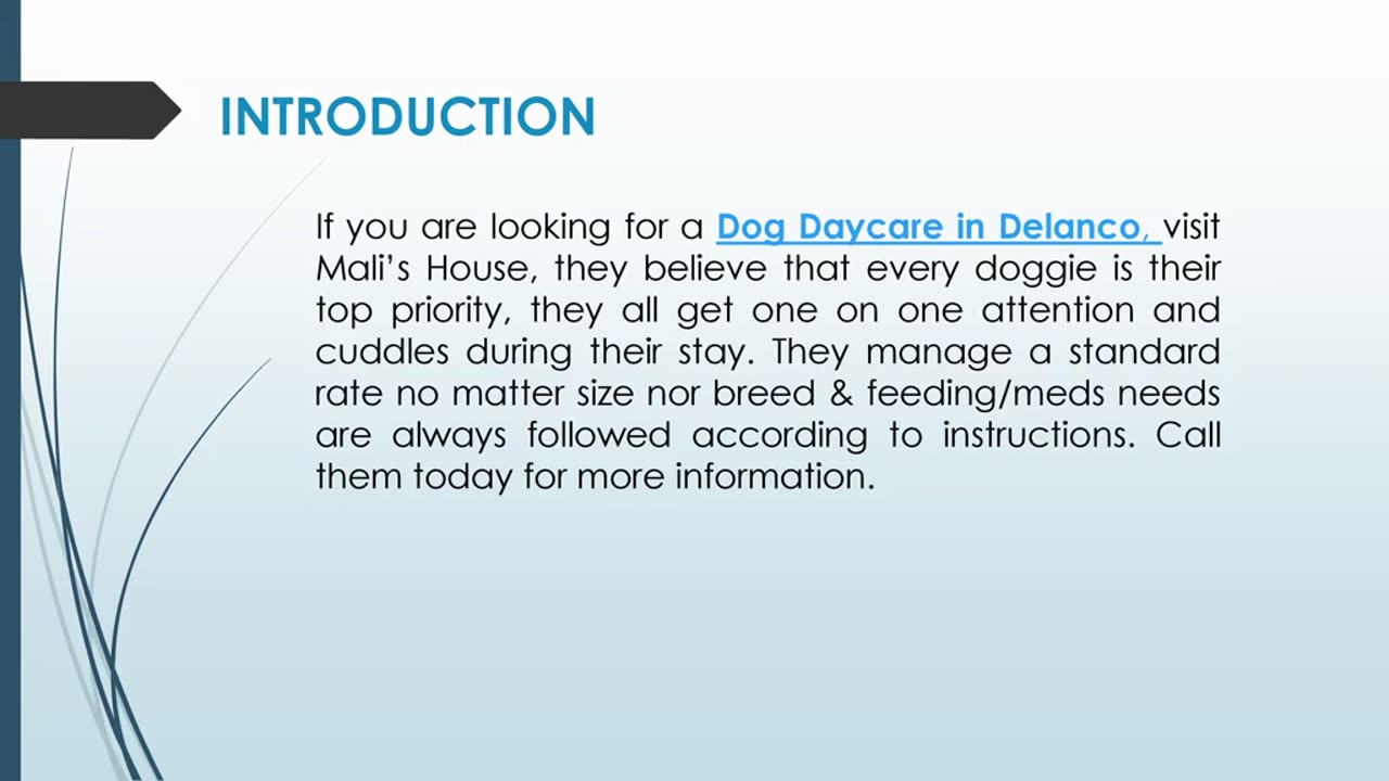 If you are looking for a Dog Daycare in Delanco