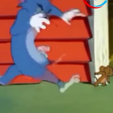 funny video funny videos new funny video tiktok funny video bangla funny video animal funny video