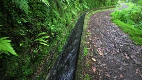 120km Madeira Inselüberquerung wandern