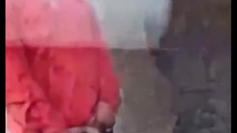 Today's feel good video as a migrant exposes himself to a woman in Brussels