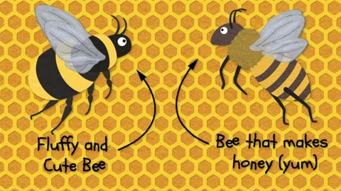 What is a Bumblebee Insect? It's vs - A Bumblebee vs Honeybee Showdown!