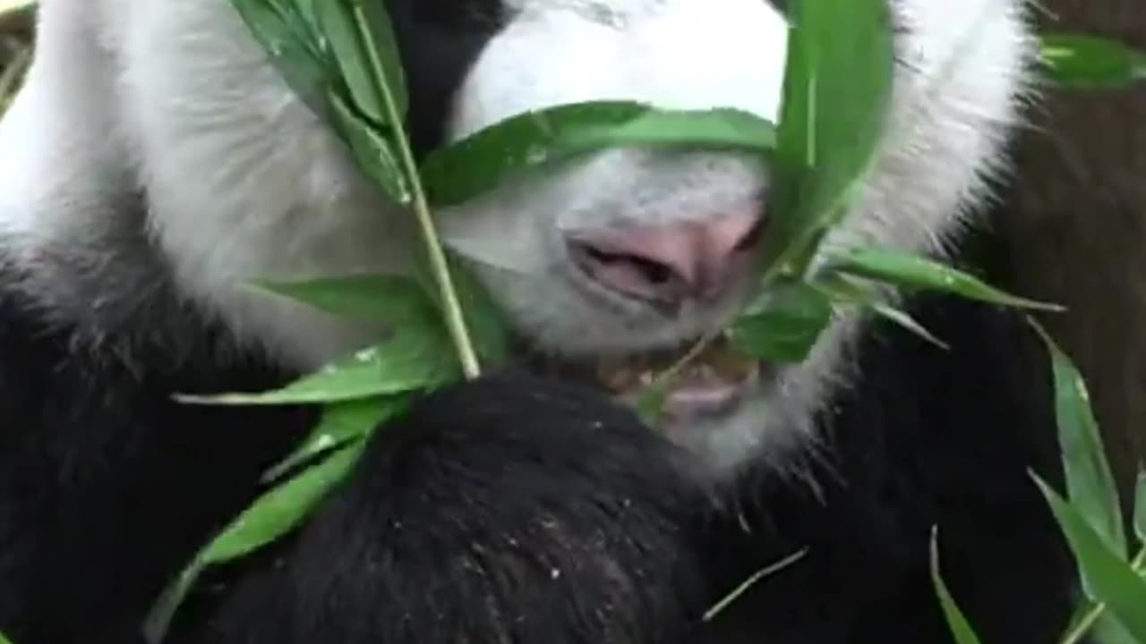 The Divine is always in the Works.