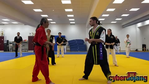 Hwarang Do