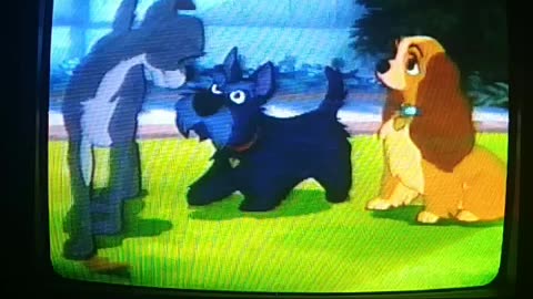 12. Lady and the Tramp VHS (1987)