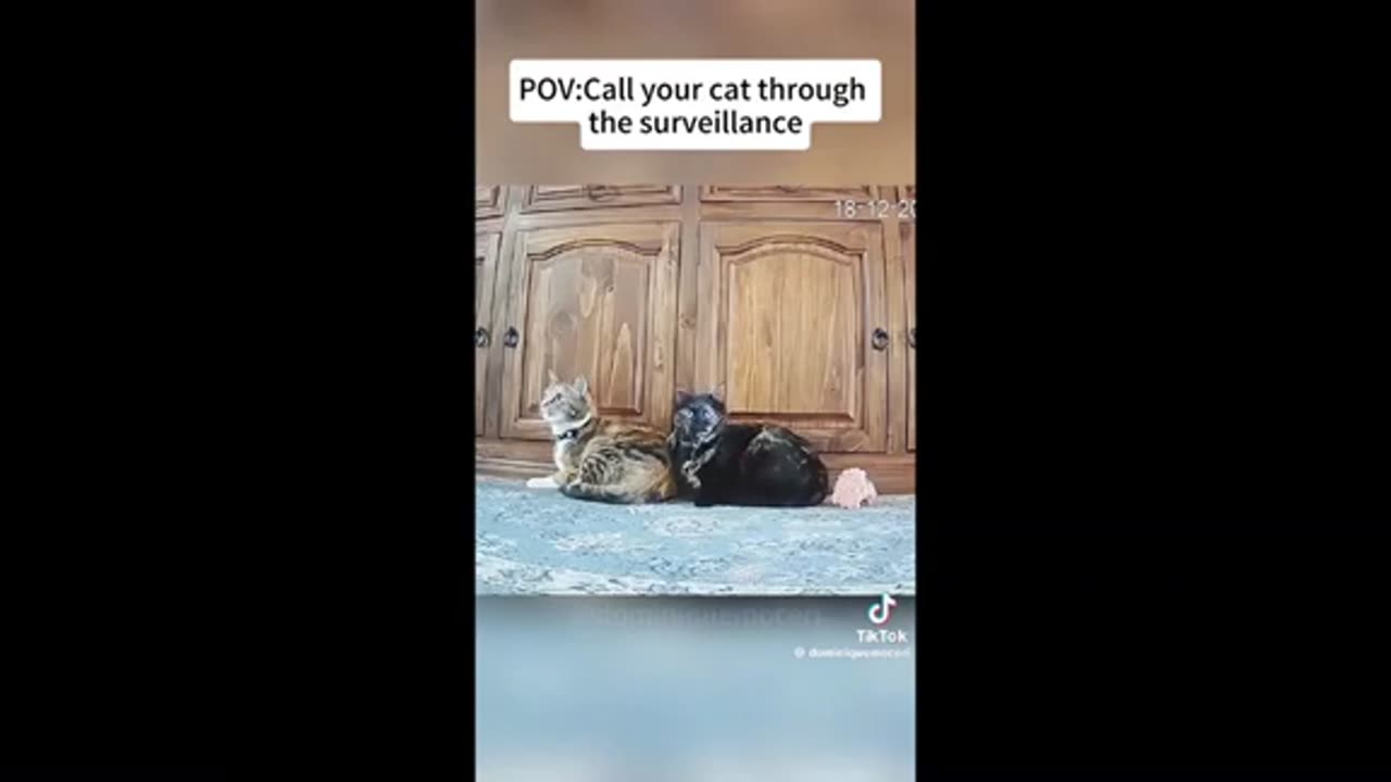 Need a laugh here and there ;)