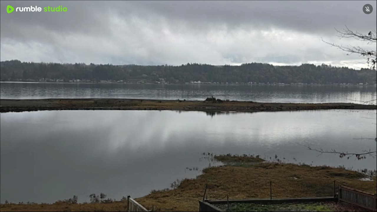 Cloudy and gray on the water