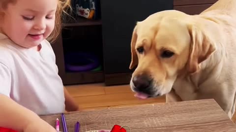 What Happens When You Feed Your DOG ALL Your Food?