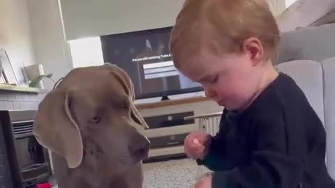 Baby boss feeding the team
