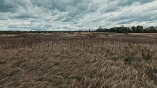 🦅🇺🇦 Wild Hornets created an effective Shahed interceptor