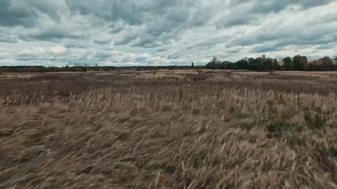 🦅🇺🇦 Wild Hornets created an effective Shahed interceptor