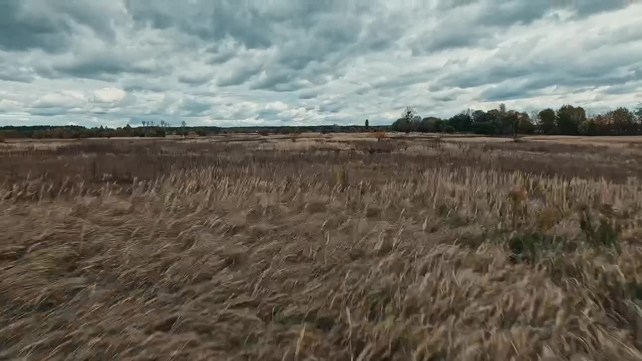 🦅🇺🇦 Wild Hornets created an effective Shahed interceptor