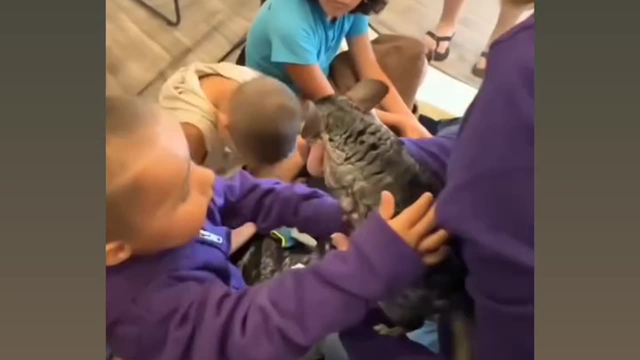 All God's Critters