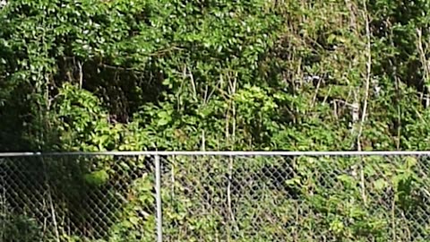 Never give up on yourself by Ed Delacruz. #health #healthy #healthadvice #reels #shorts