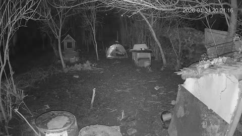 Megint az illegális tűzijáték! Az önkormányzat támogatottjainál!