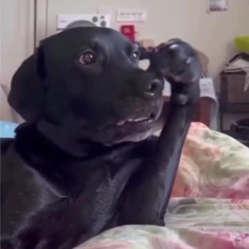 Me after sleeping on my arm for hours.. 😂