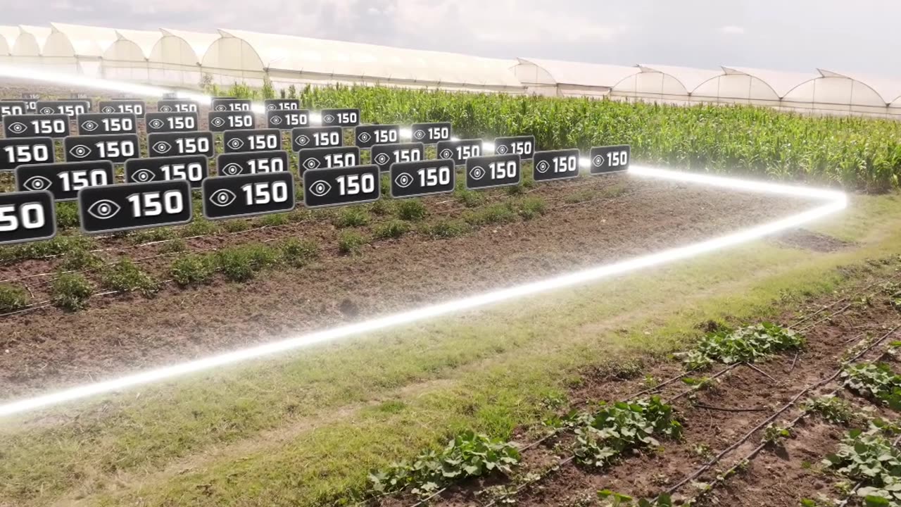 Feed the world with me.# mrbeast