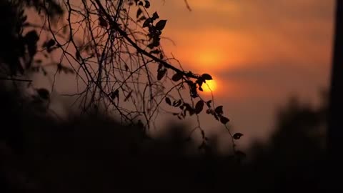 Sunset 4K HD Stock Video Part 2 Free stock footage