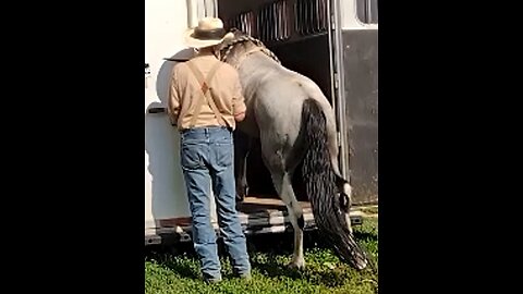 Levi - trailer training session two - 24 July 2025