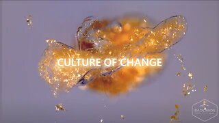 Culture of Change Ep. 32: Reclaiming Christmas From Consumerism