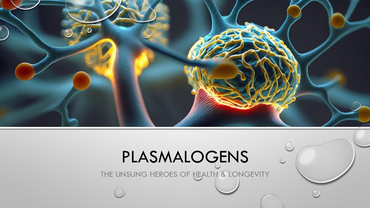 Plasmalogens: The Unsung Heroes of Health & Longevity | Wondrous Roots Webinar with Rebecca Montrone
