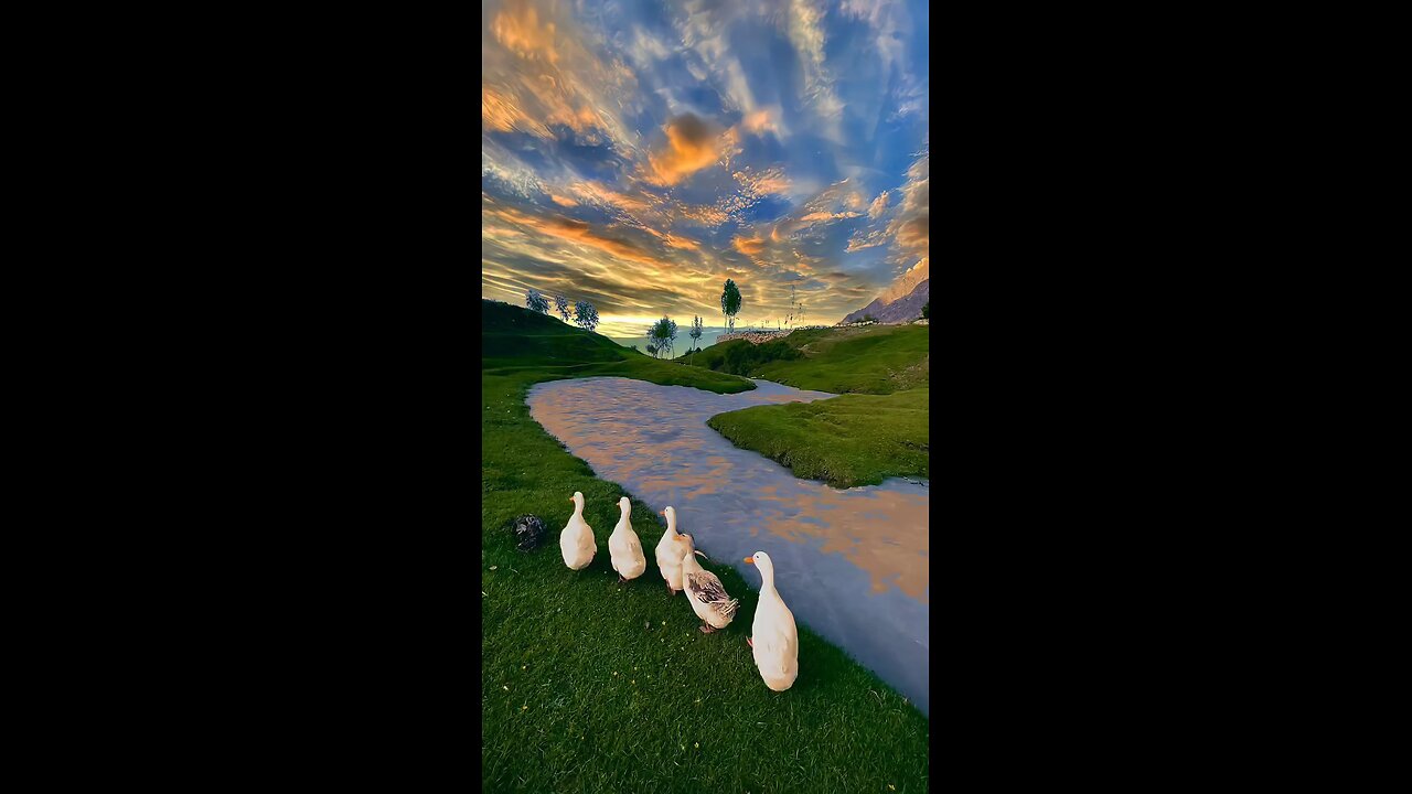 # Moonlight & Nature's beauty 🤩😍