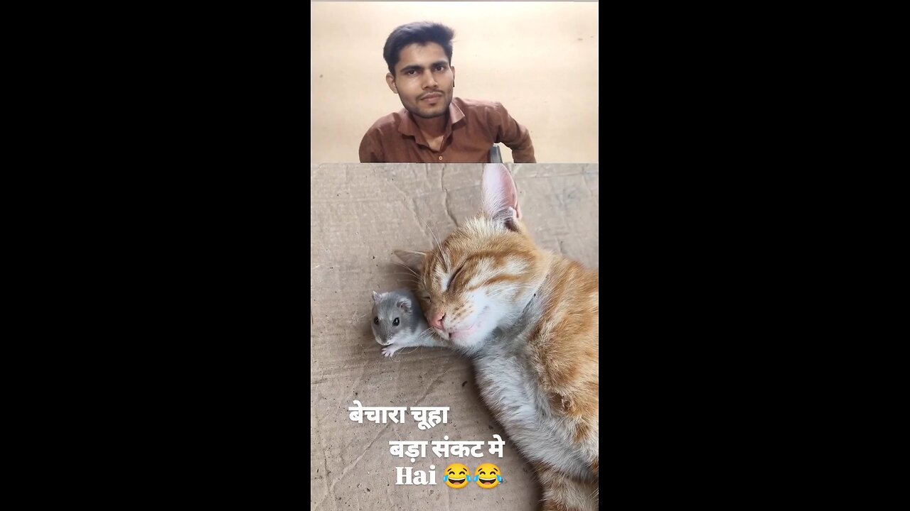 Bhaichara chuha Galat jagah Fas Gaya