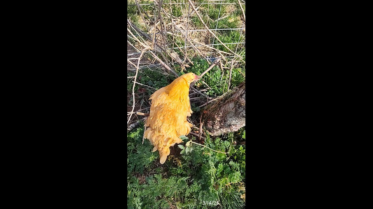 Such a windy day!