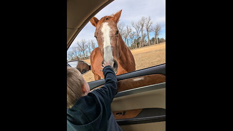 HOW TO: Make goose jerky