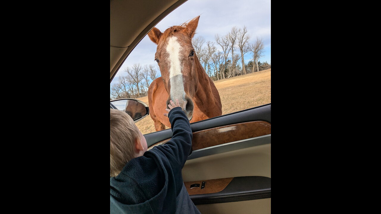 HOW TO: Make goose jerky