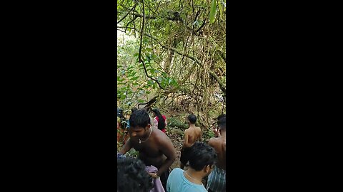Tourist attraction | Kanayi Kanam Waterfalls | Lovely Place | വെള്ളച്ചാട്ടം #payyannur #kannur