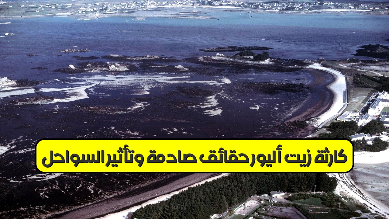 كارثة زيت أليور: حقائق صادمة وتأثير السواحل #تلوث_بحري #فرنسا #كارثة