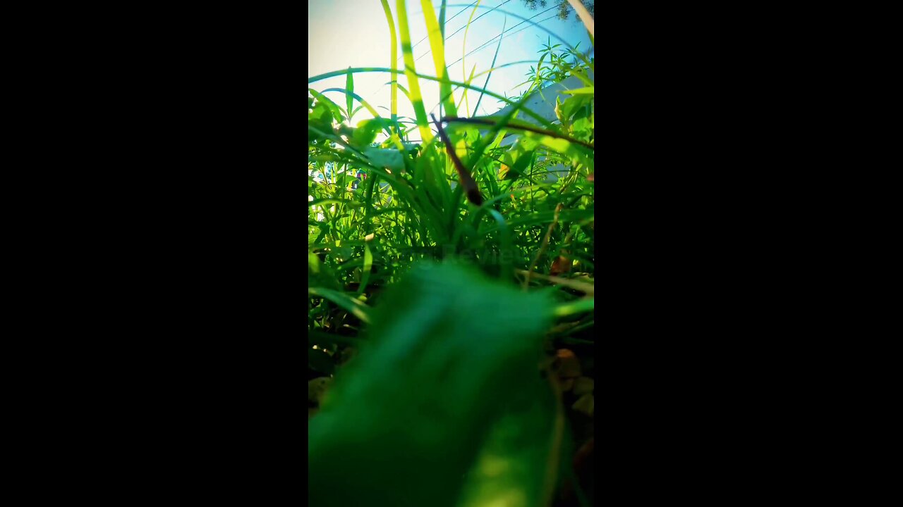 You have to leave everything and die one day. That's the truth we all forget...