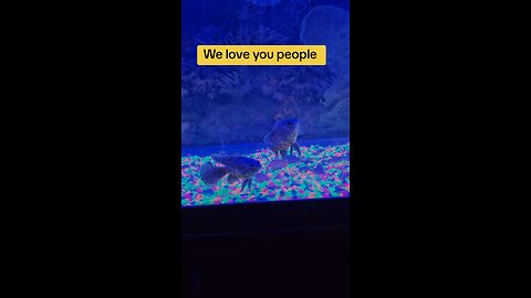 Happy Saturday 😊😄