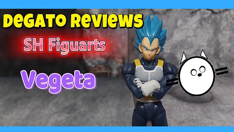 Vegeta Review (15th Anniversary SH Figuarts)