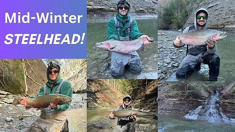 Epic Winter STEELHEAD Fishing! (Big and Small, Fresh and Old!)