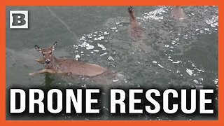 High Tech Shepherds! Authorities Use Drones to Herd Deer Stuck in Icy Lake Back to Shore