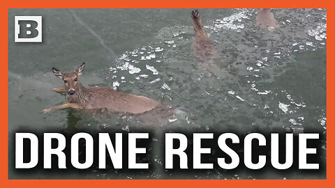 High Tech Shepherds! Authorities Use Drones to Herd Deer Stuck in Icy Lake Back to Shore