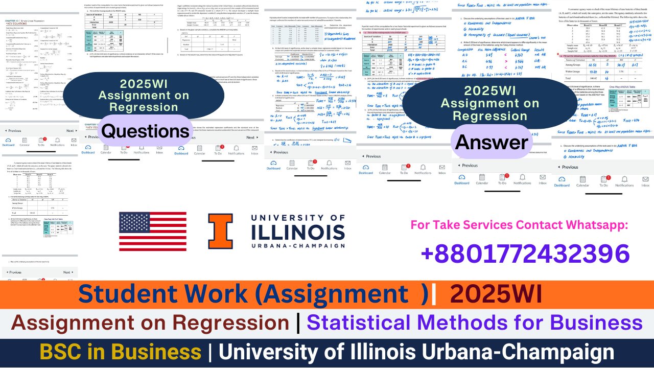 Student Work(Assignment )|2025WI Assignment–Statistical Analysis| Business Program work video|UIUC