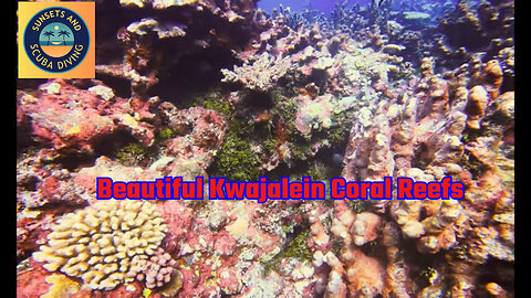 Scuba Diving at Kwajalein Atoll Underwater Adventure in the Marshall Islands 🌊🐠🐡