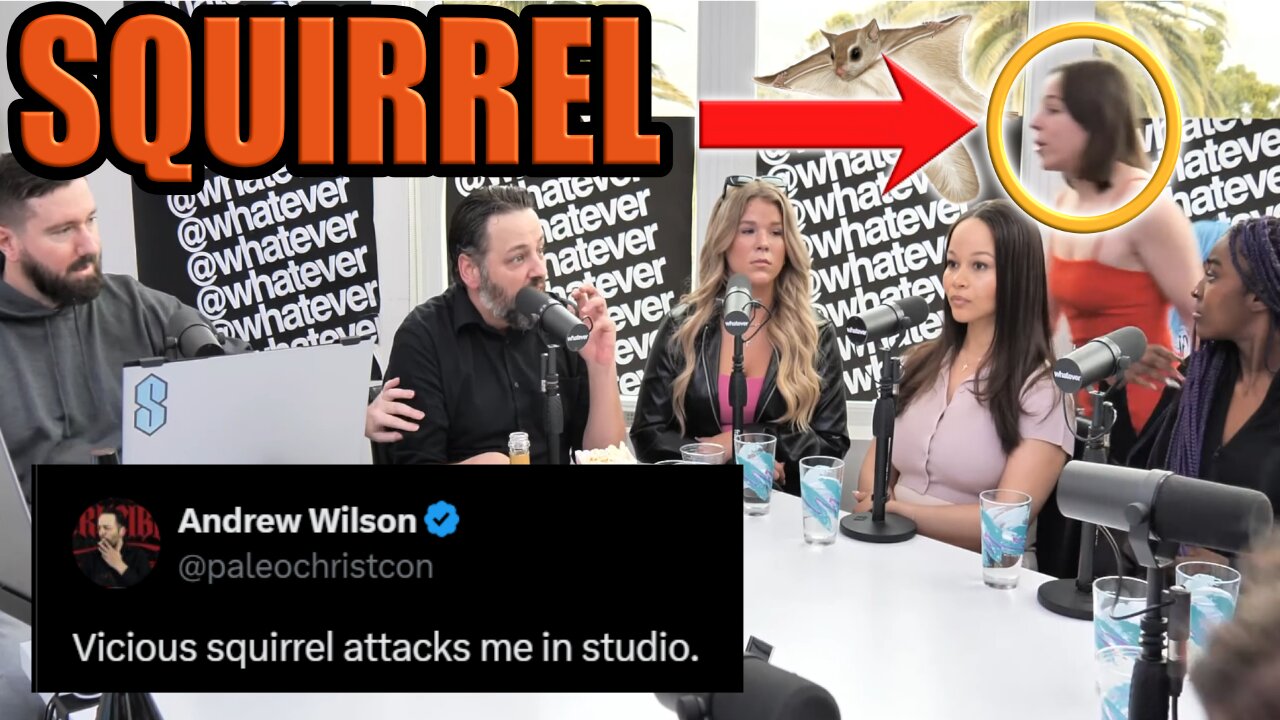 A Vicious Squirrel ATTACKS Andrew Wilson & This Happens! Gets Frank Castle! Whatever Podcast 3/16/25