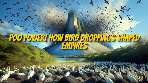 Poo Power! How Bird Droppings Shaped Empires