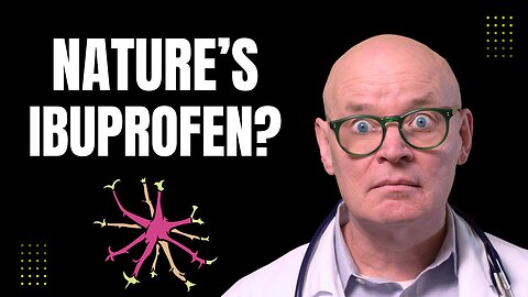 Devil’s Claw Explained: Nature’s Ibuprofen for Pain & Inflammation?