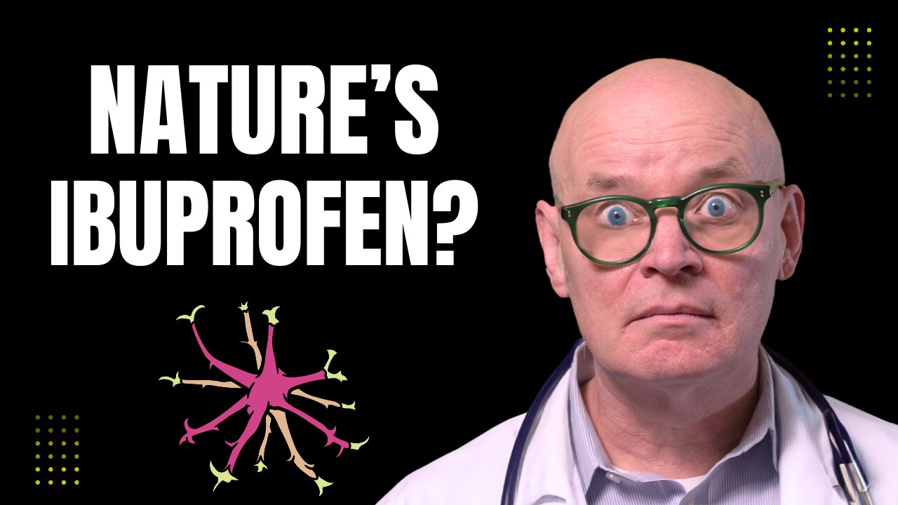 Devil’s Claw Explained: Nature’s Ibuprofen for Pain & Inflammation?