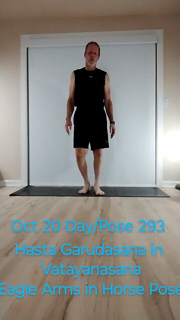 Hasta Garudasana in Vatayanasana / Eagle Arms in Horse Pose