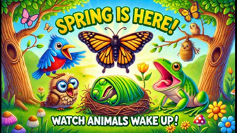 🌸 Spring is Here! Watch Animals Wake Up to Sunshine! 🦋🐦🐸