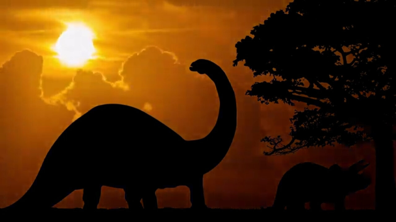 24/7 Relaxing Animals Livestream 🐘🦥🐧 Unique Wildlife Behaviors.