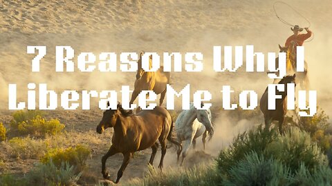 7 Reasons Why I Liberate Me to Fly